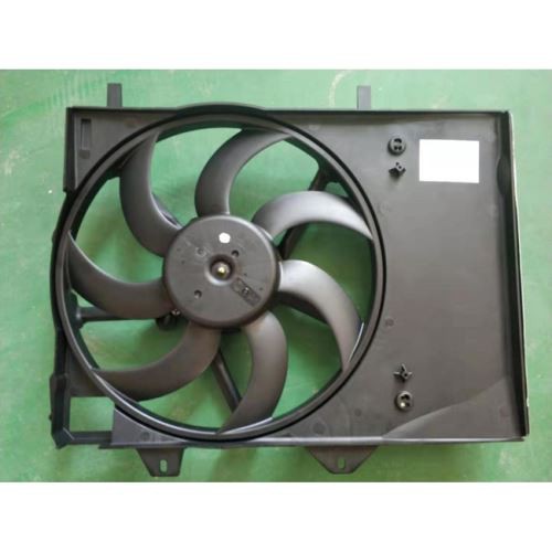 Peugeot 207 / Citroen C3 R-FAN 1253P9